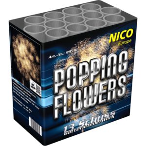 Nico Popping Flowers, 13 Schuss